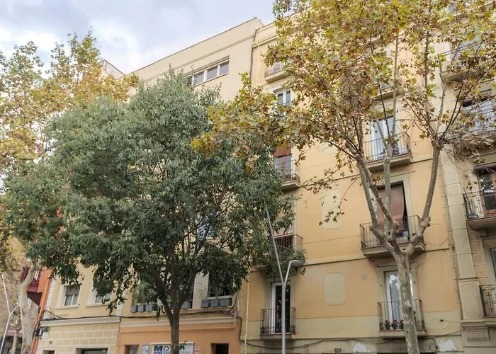 Live Like A Local In Eixample Barcelona